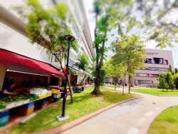 264 SERANGOON CENTRAL (D19), Shop House #564488531